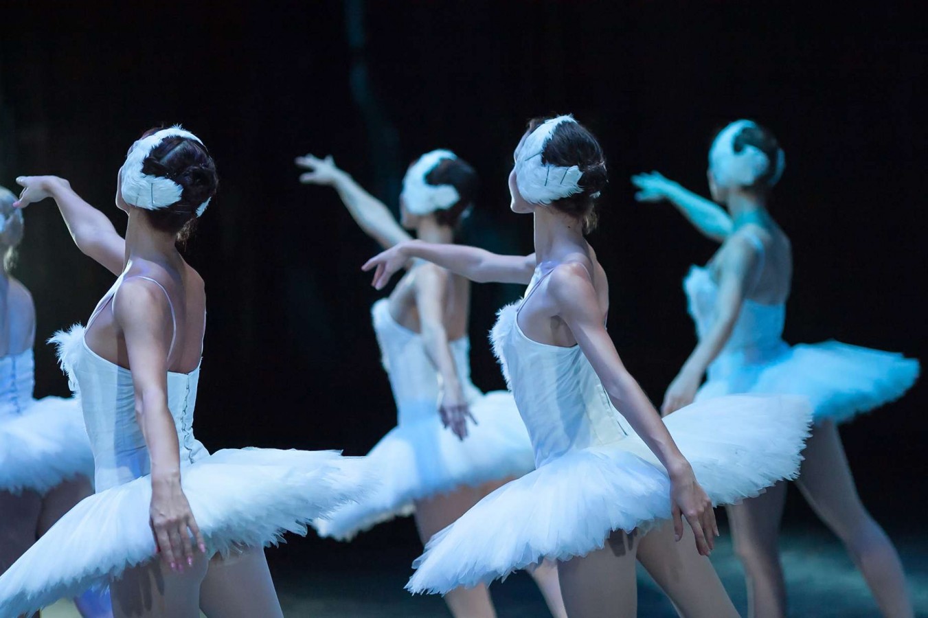 Swan Lake Ballet: Variations and Interpretations